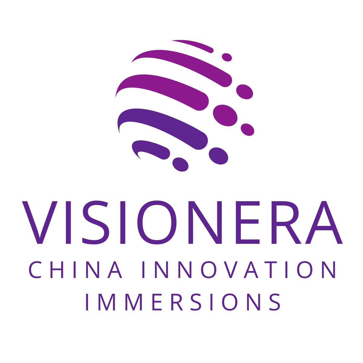 Visionera logo